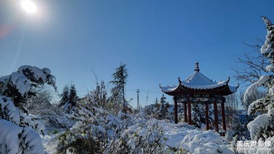 【難忘2023】+公園雪景