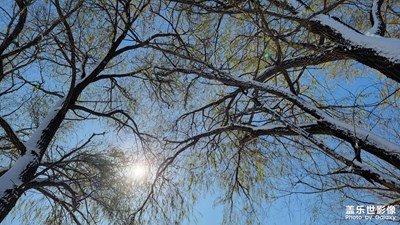 【難忘2023】+從橫交錯