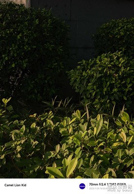 【隨處風(fēng)景】不是心動