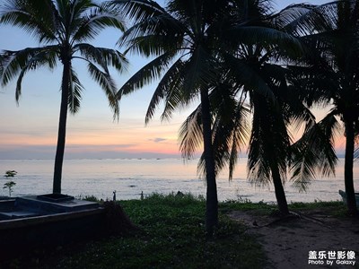 【難忘2023】+椰島風(fēng)情