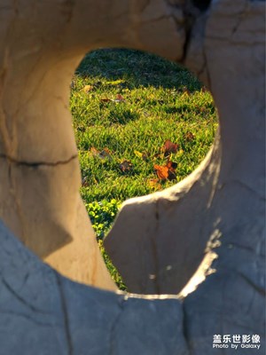 【冬日里的溫暖】暖陽(yáng)