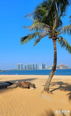 【難忘2023】海濱城市掠影