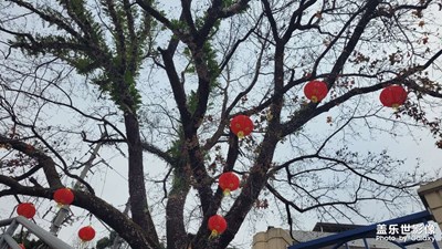 【難忘2023】轉(zhuǎn)眼又一年