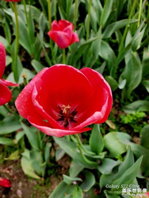 【難忘2023】用三星手機(jī)記錄平凡的一年