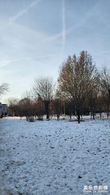 冬日里的溫暖 午后的陽光