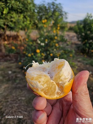天氣好好，出去走走