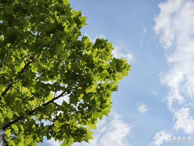 【難忘2023】+年度回憶