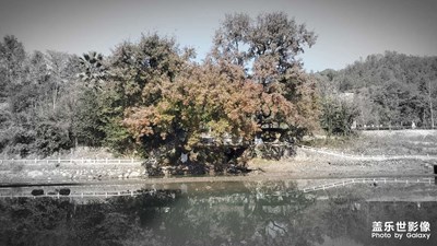 【難忘2023】金秋九月