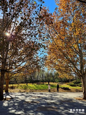 【冬日里的溫暖】+冬的色彩