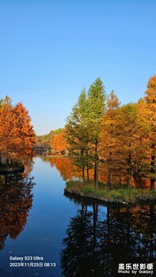 【難忘2023】 美在金陵