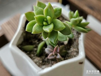 攝影體驗(yàn)Galaxy Z Fold5