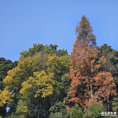 【冬日里的溫暖】+溫暖寒冬