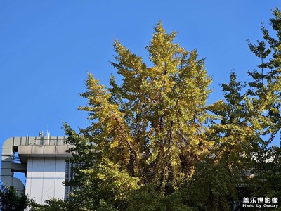 【冬日里的溫暖】+溫暖寒冬