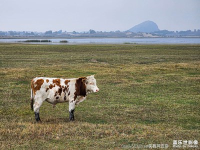 【喜迎2024】+ 行走烏蘭布統(tǒng)草原