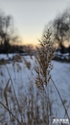 【喜迎2024】+2023年最后一天！