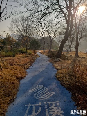 【喜迎2024】+2023美好記憶