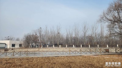 喜迎2024 新年新氣象