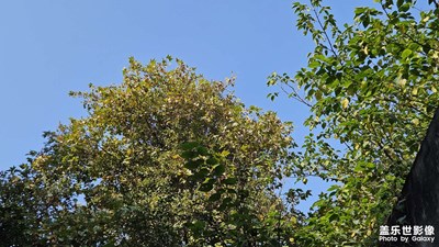 【喜迎2024】+期待2024