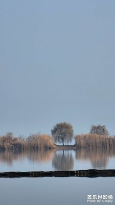 【辭舊迎新】+冬季暖陽