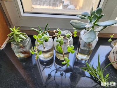 主打一個(gè)反骨