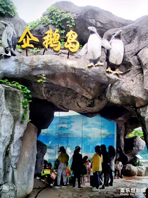 【辭舊迎新】+新年游玩動物園