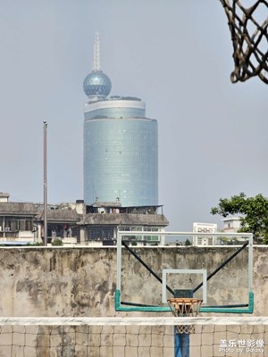 【辭舊迎新】嶺南樹葉也黃了