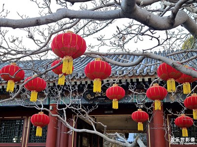 【辭舊迎新】紅燈籠迎新春