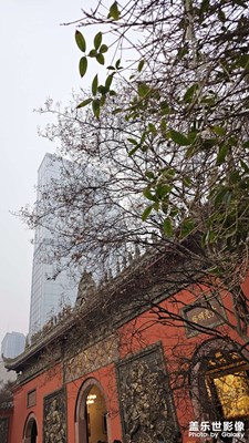 【辭舊迎新】+天府之都的跨年