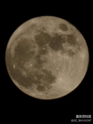 住大家新年快樂