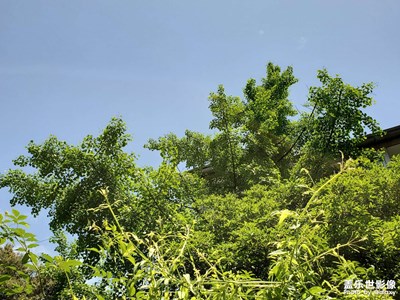 【辭舊迎新】+迎接新希望