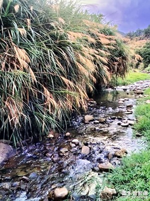 【浮光掠影】+美麗的山間小溪