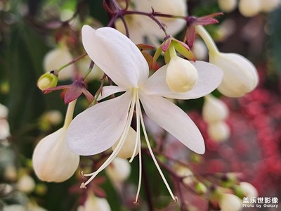 【浮光掠影】+與美好相遇