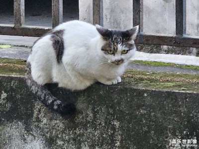 【浮光掠影】+忙里偷閑的時光