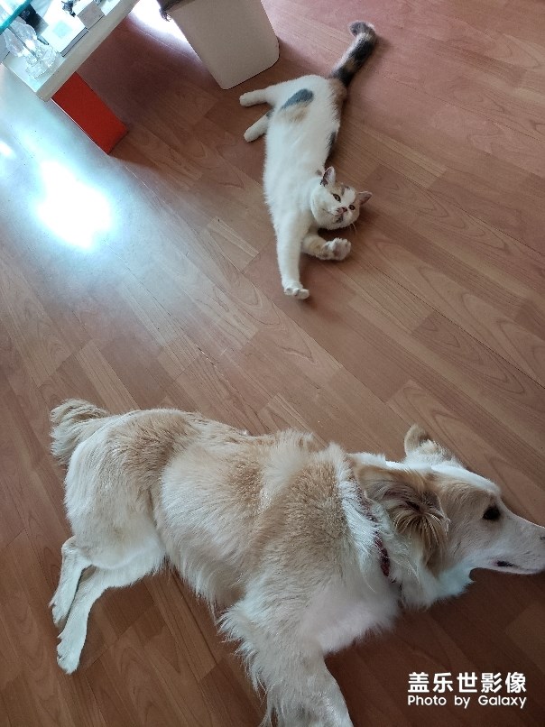 日常的它們！