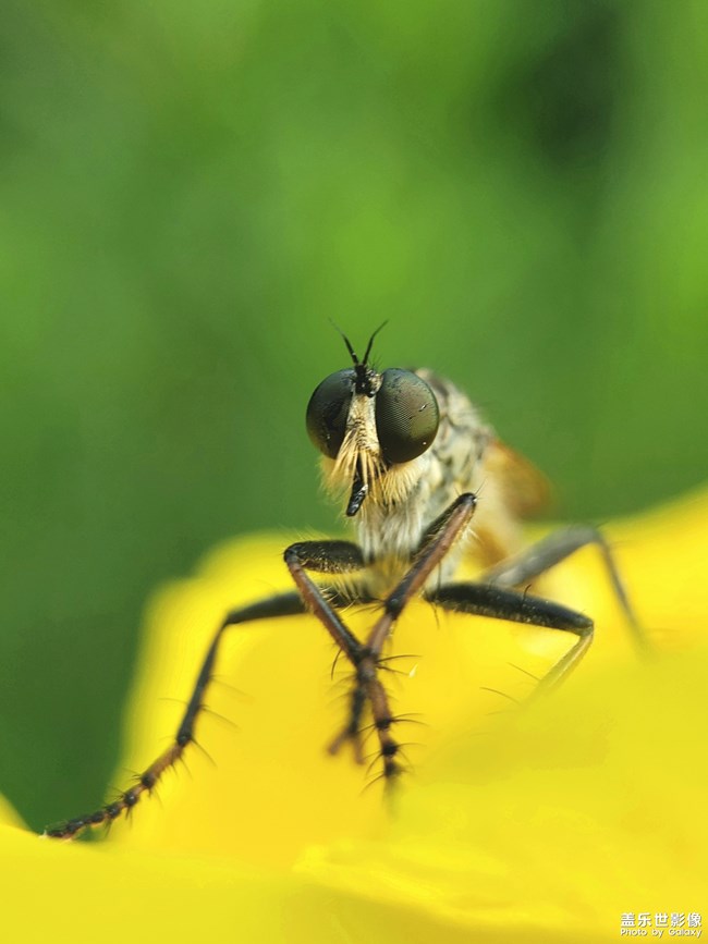 【第102期：端午節(jié)小長假 各位過的怎么樣呢？ 】