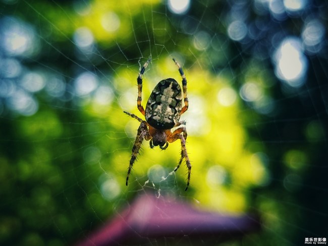 【第109期：立秋貼秋膘啦 你家里在這天有什么習(xí)俗呢？】