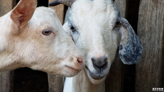 【第109期：立秋貼秋膘啦 你家里在這天有什么習(xí)俗呢？】