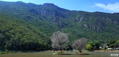 大美九龍灣之-山水物篇