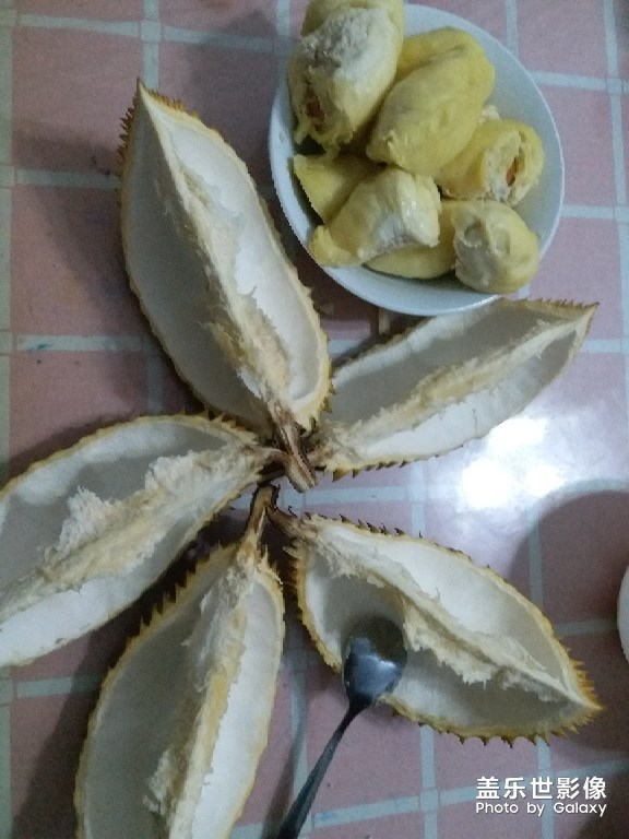 一只榴蓮的進(jìn)化史