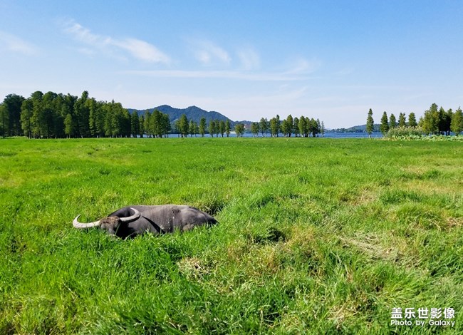 【每周精帖匯119】秋意正濃 是時(shí)候表演真正的技術(shù)了