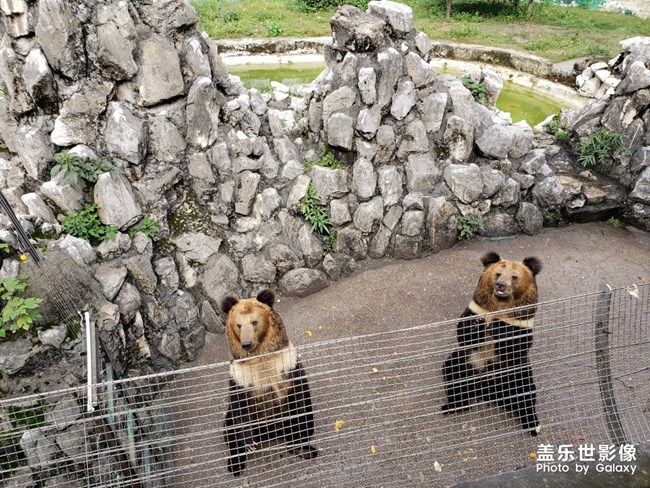 恭喜你啊！，恭喜恭喜！