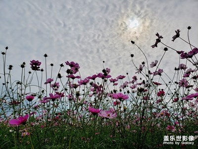 【為中國添色】香薰山谷 （大眾組）