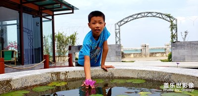 【為中國添色】紅色睡蓮 情侶鸚鵡 美麗北海 （大眾組）
