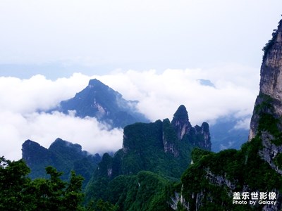 湖南張家界之行！