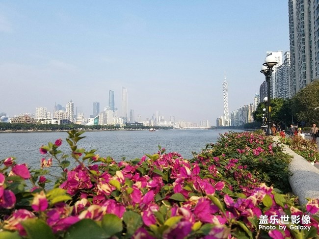 【色彩】+萬(wàn)千粉黛裝點(diǎn)羊城