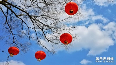 【這世界正美】+正月初七風(fēng)和日麗