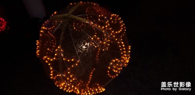 【魅夜】+夜夜夜夜 3