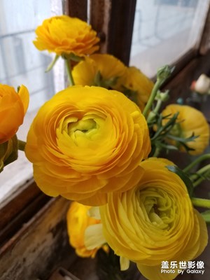 【時光】陽臺僅存的風景