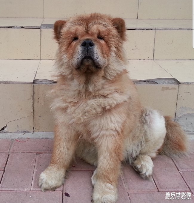 哭笑不得?? 哭笑不得??