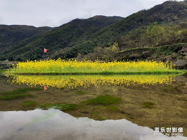 【每周精帖匯143】三星Galaxy A新品影像力家族亮相啦